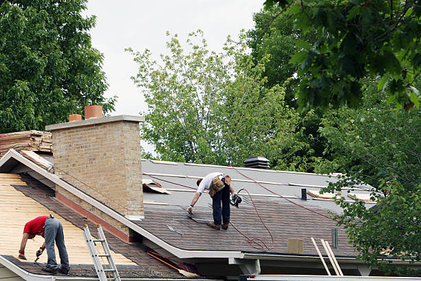 Best Asphalt Shingle Roofing  in Springfield, GA