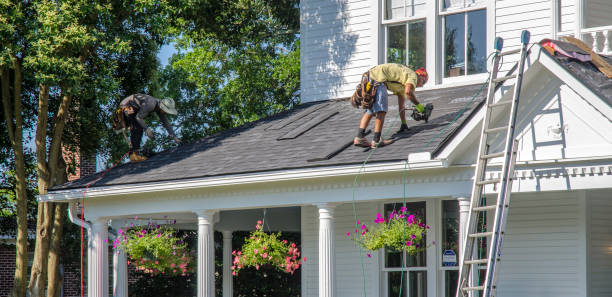Best Roof Coating and Sealing  in Springfield, GA